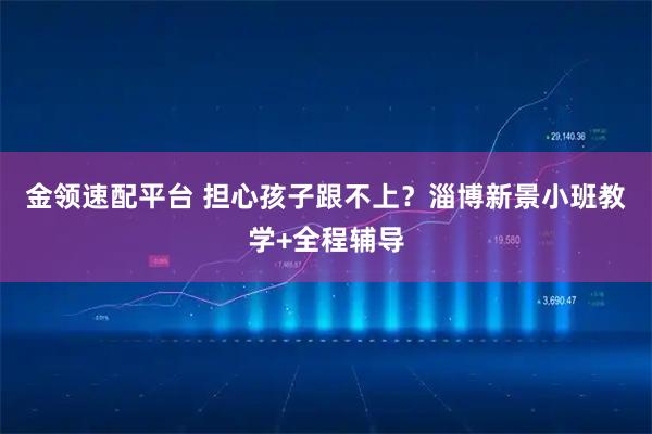 金领速配平台 担心孩子跟不上？淄博新景小班教学+全程辅导