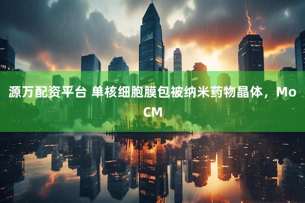 源万配资平台 单核细胞膜包被纳米药物晶体，MoCM